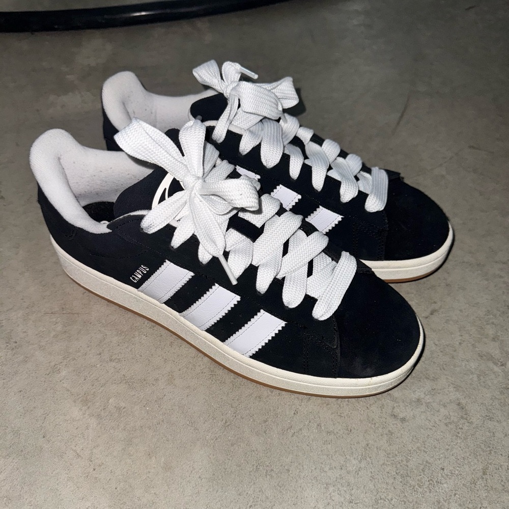 Men Adidas Campus Shoe